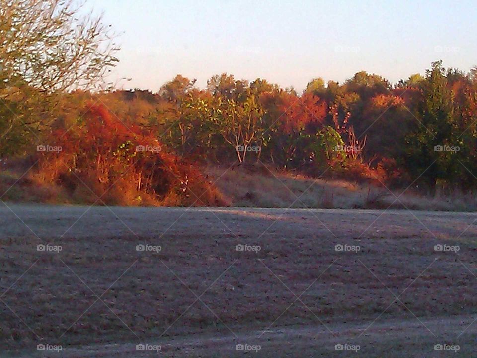 View of Fall and Frost. from my office window