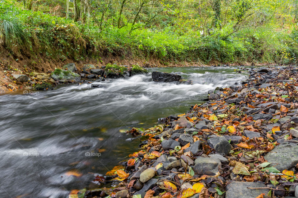 Water, Fall, Stream, Nature, River