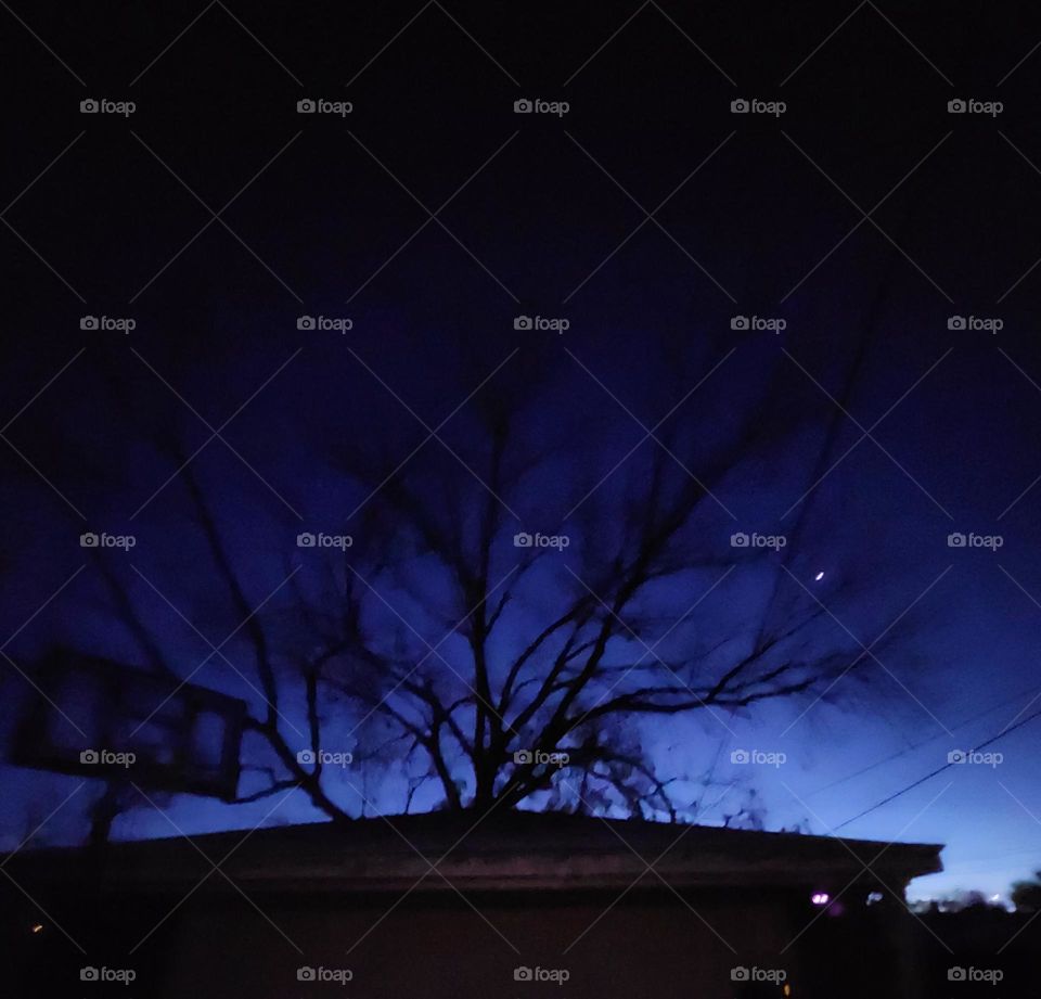 The view from my yard