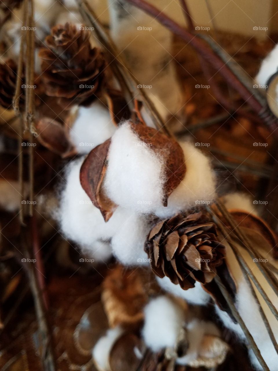 Cotton with Pine Cones