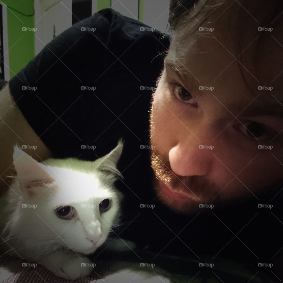Afeto entre o gatinho branco e seu dono