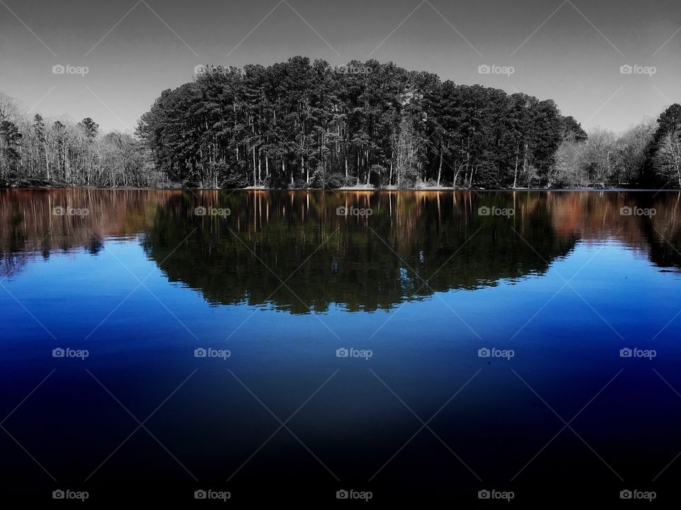 Color pop of a cluster of pine trees protrude out on a little peninsula at Lake Wheeler Park in Raleigh North Carolina, Triangle area, Wake County. Reflection is in color. 