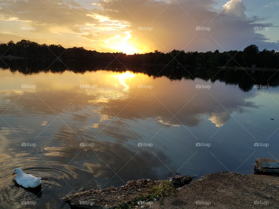 Sunset, reflections , nature, and wildlife provide serenity after a hectic day