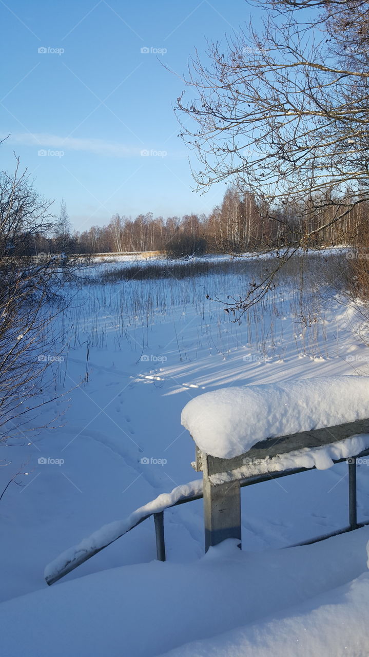 winter view