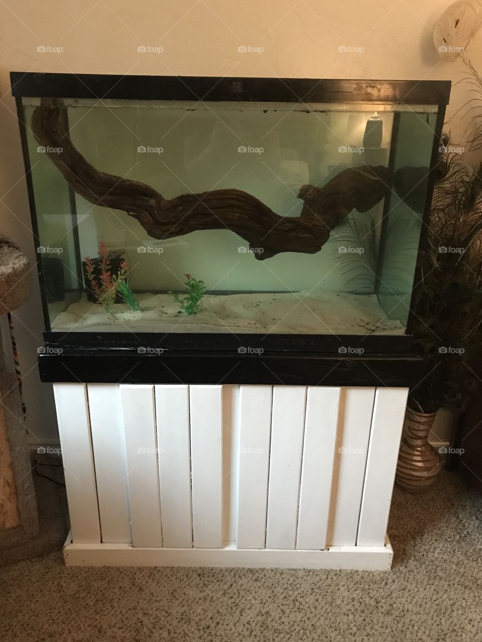 New fish tank 