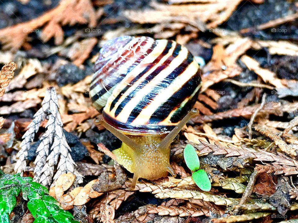 Captured with iPhone 6s Plus 