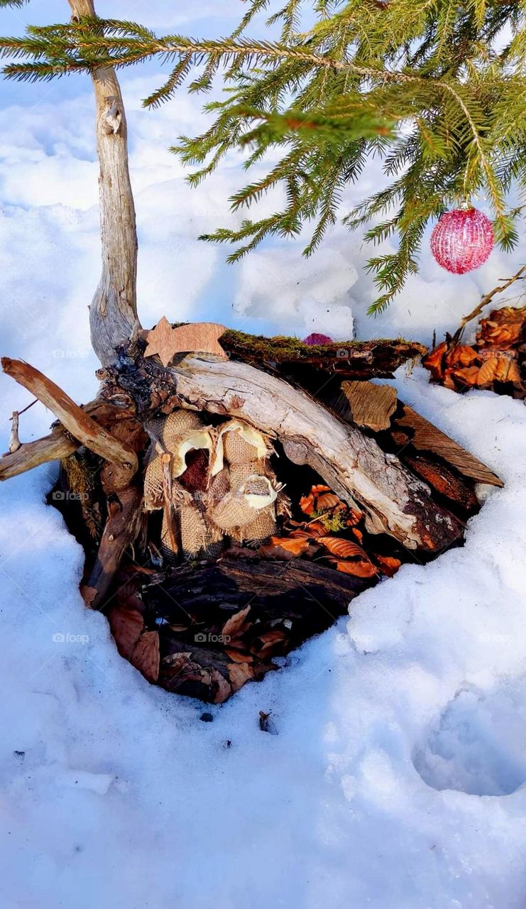 Christmass is coming