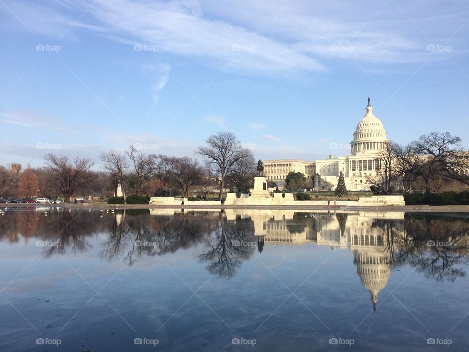 Capitol Reflection