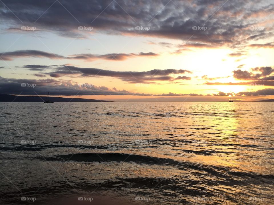 Something out there for everyone