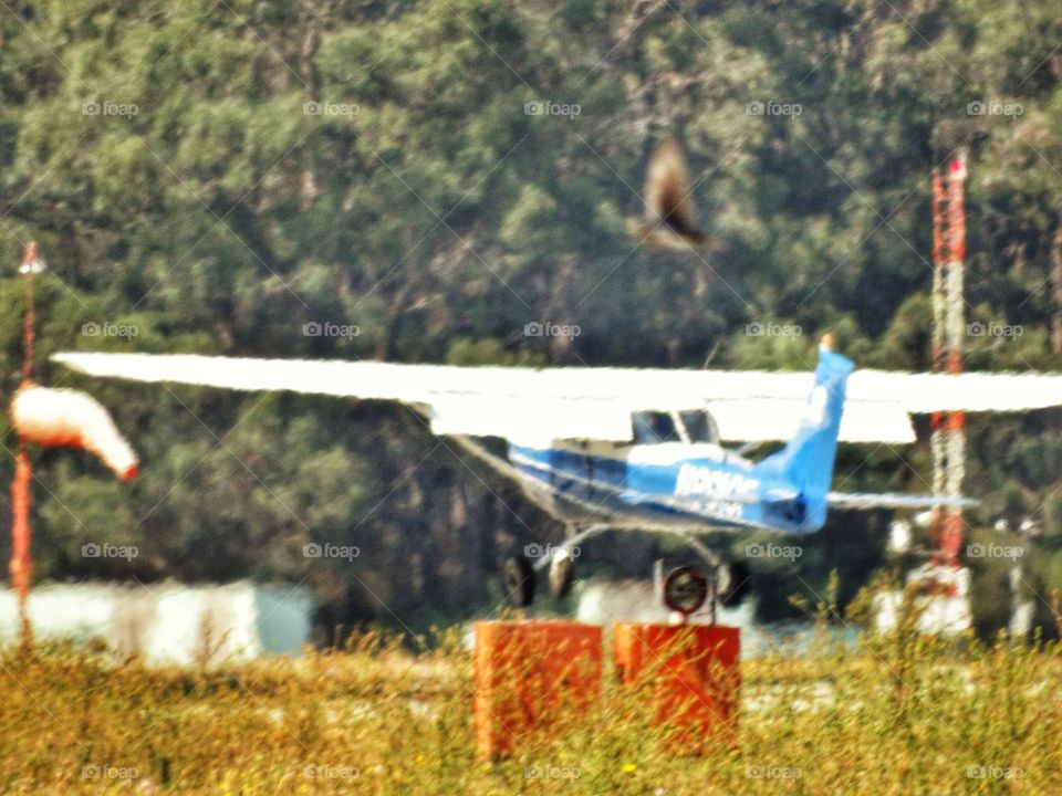 Light Aircraft Landing At Small Airport