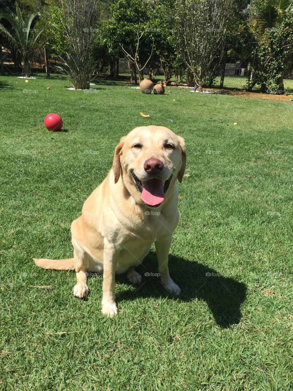 Enjoying the day outside