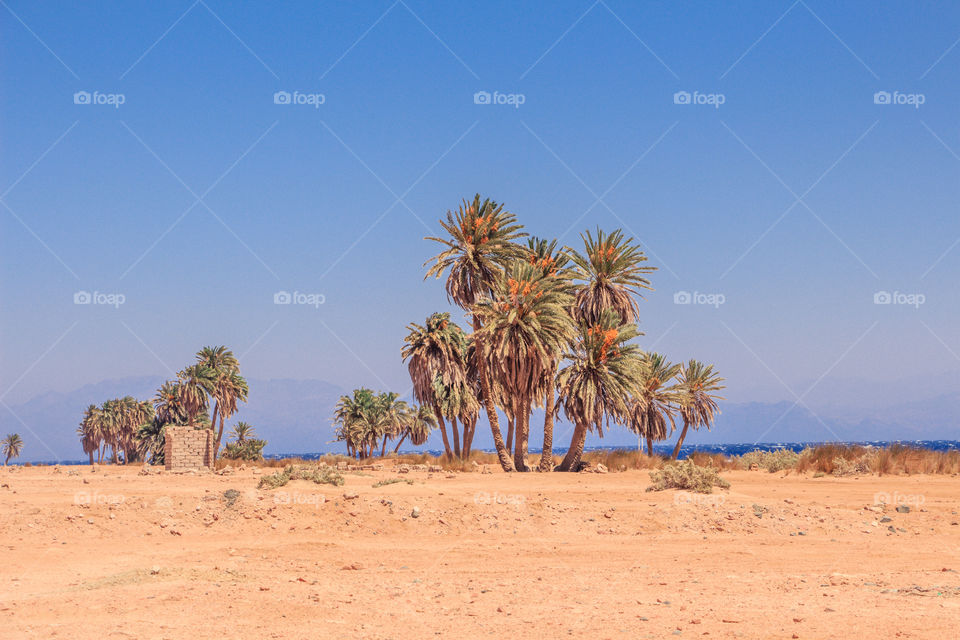 The three pools of dahab