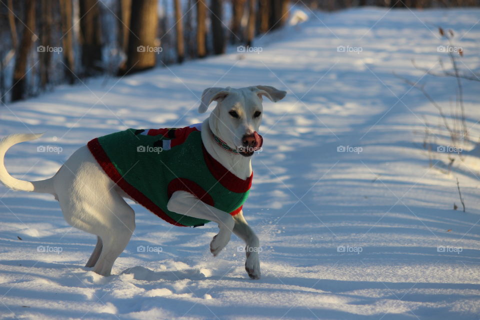 love the taste of snow