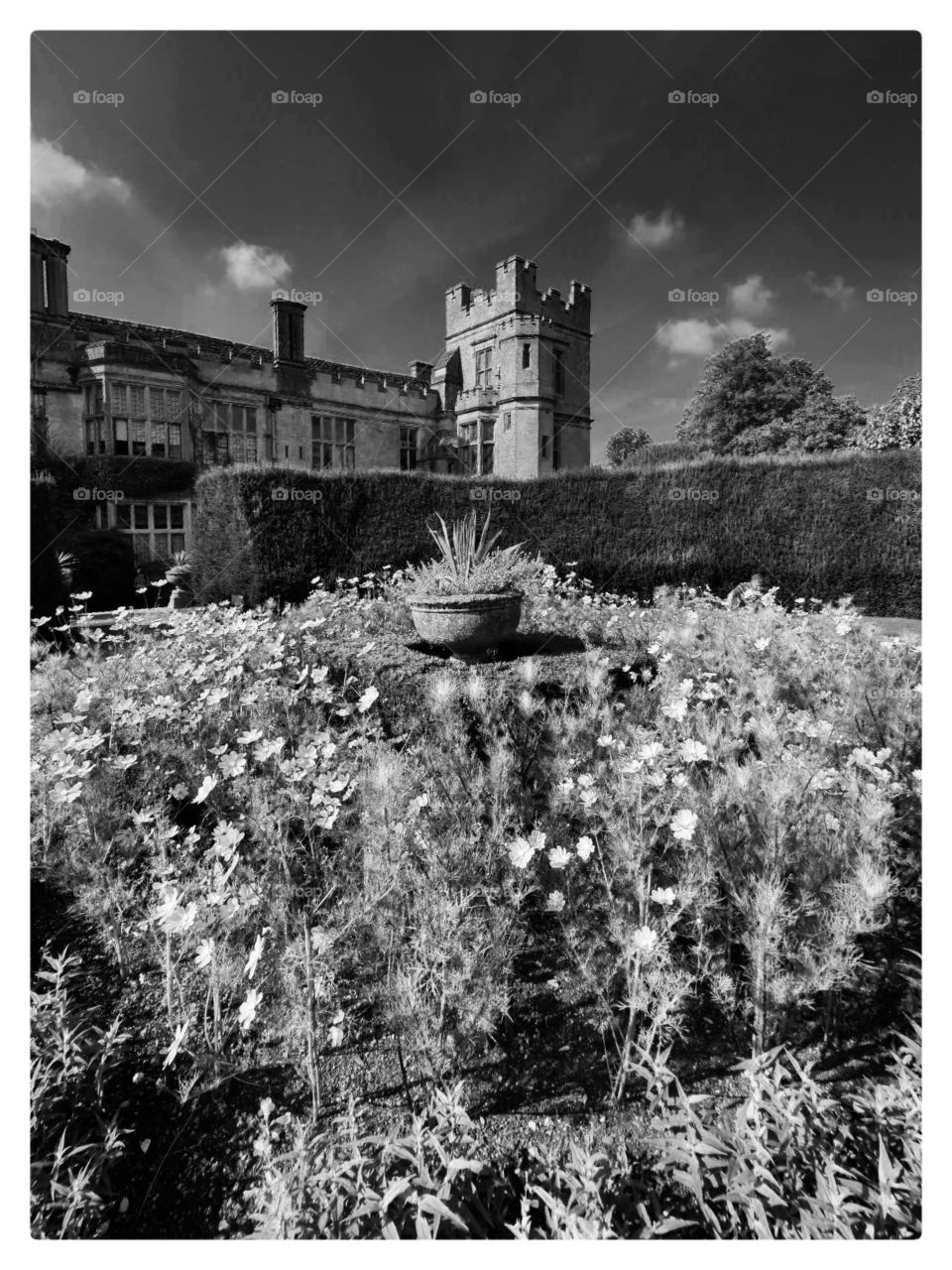 Stately home . Castle