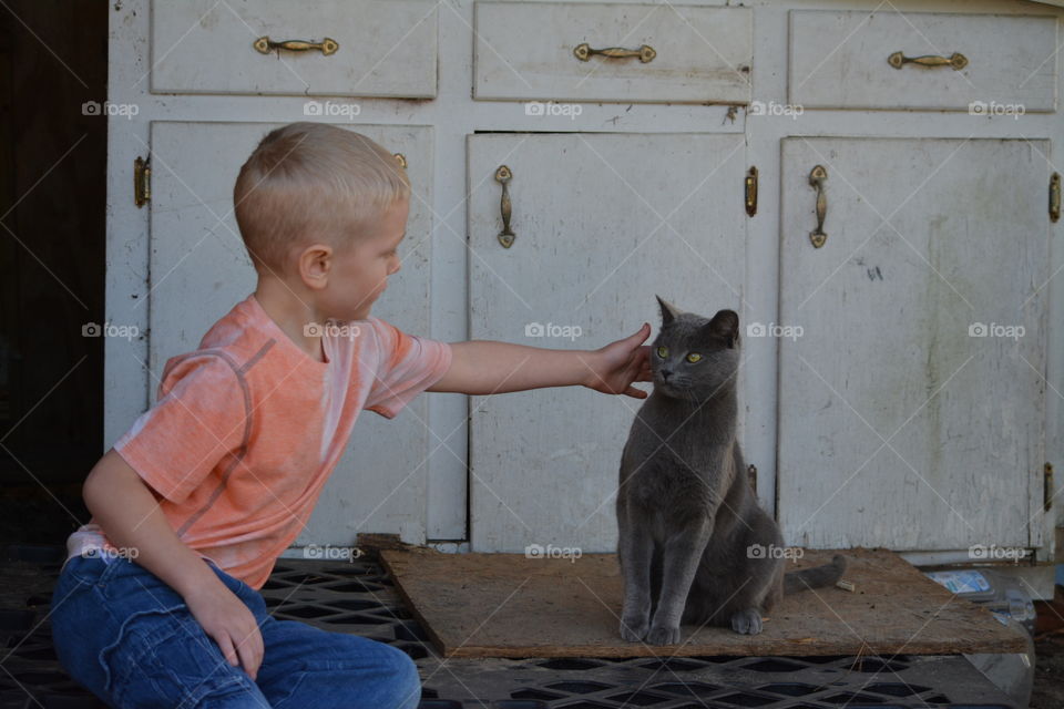A Little Child Petting A Gray Cat on the Farm