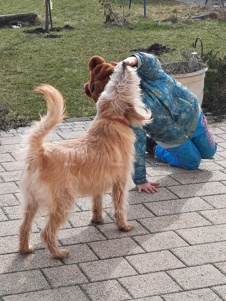 litlle girl playing with her pet