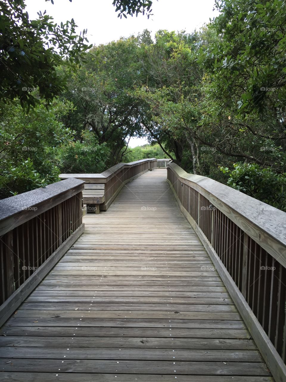 Hiking trail