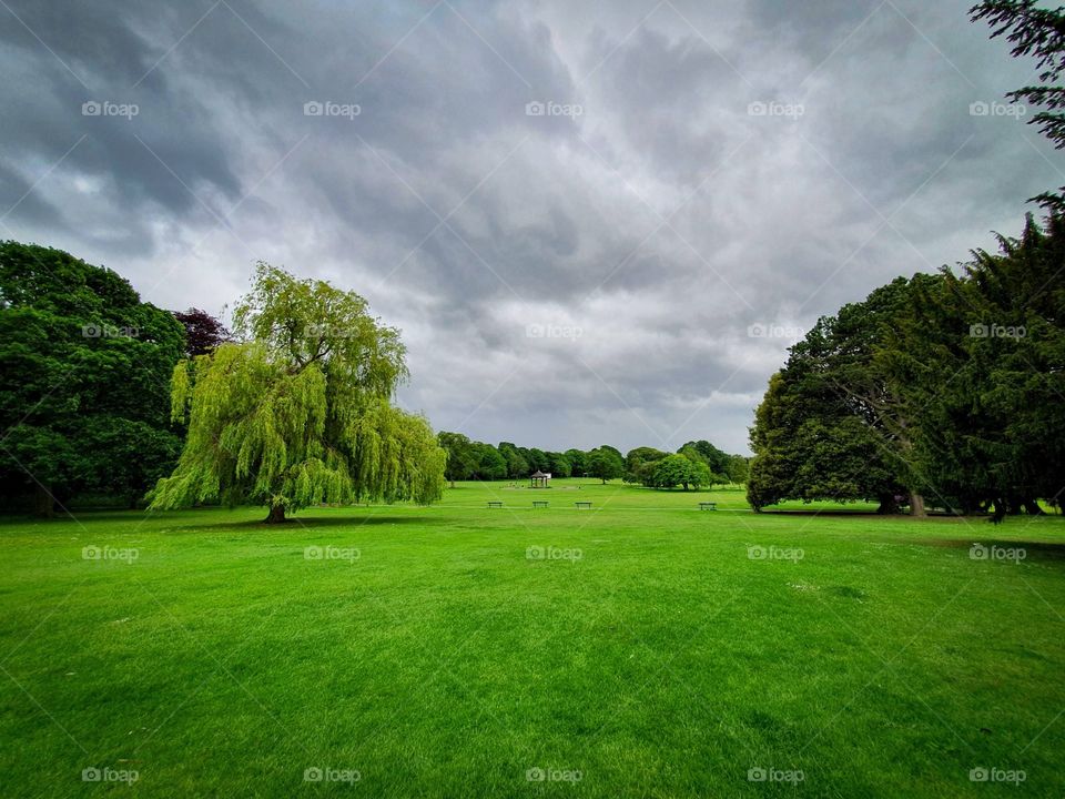Horsforth Hall Park on a rainy day