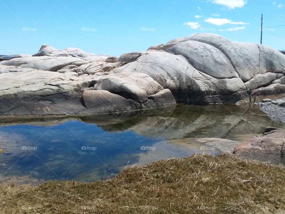 tidepool