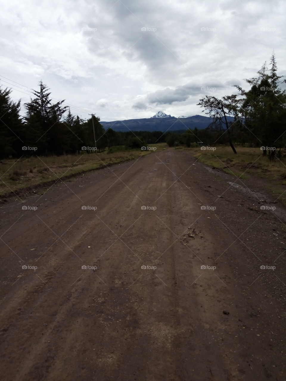 Mt Kenya the largest mountain in Kenya. This the road to the mountain just few kilometers to Solomon gate