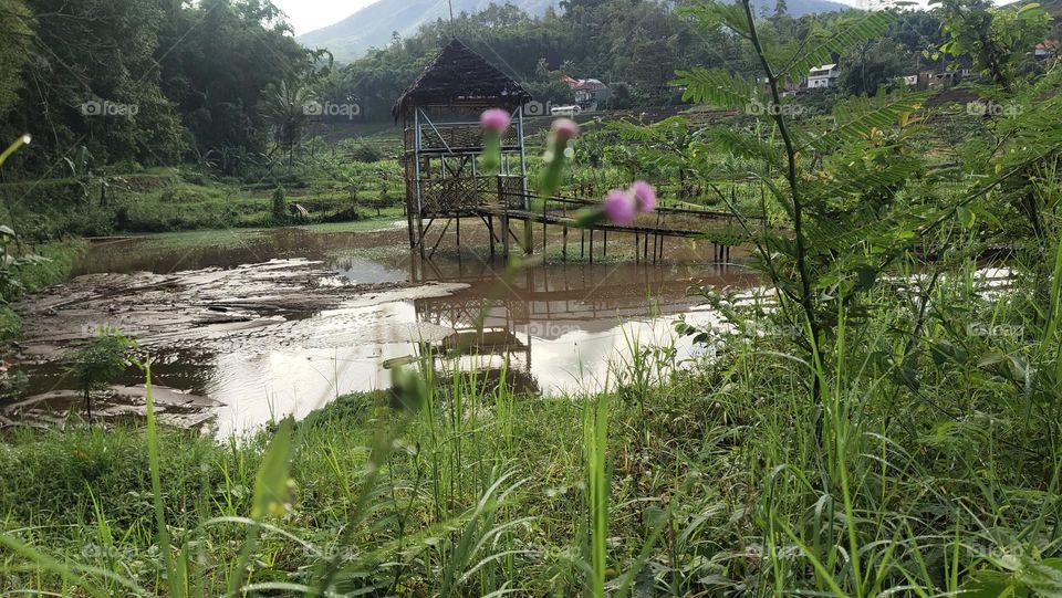 desa pujon Malang barat