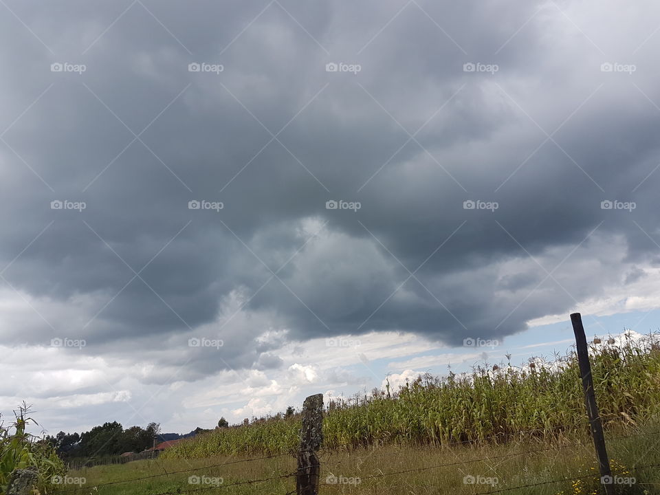 When it's sunny and about to rain