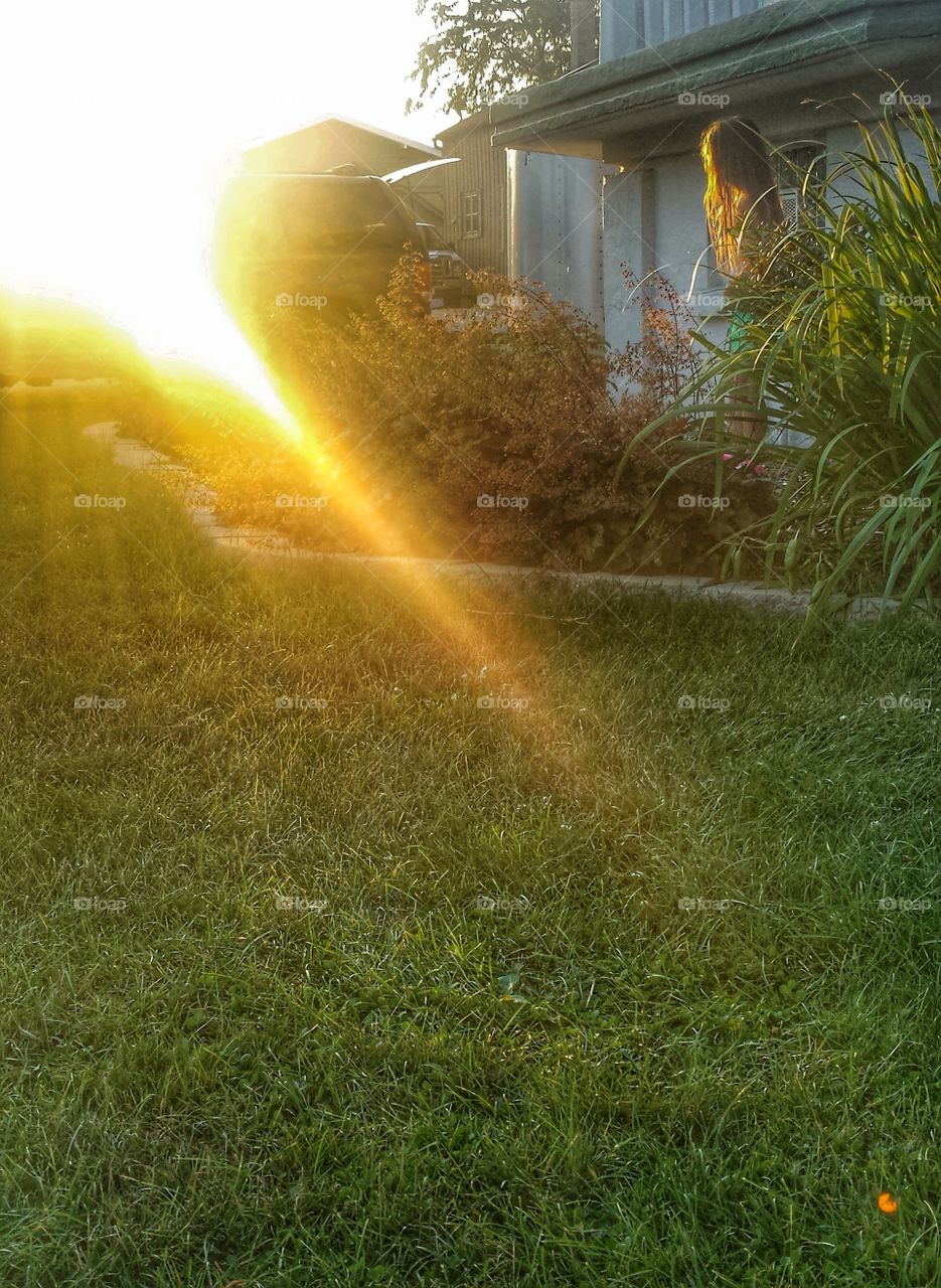 The Golden Hour. Golden Haired Girl Playing