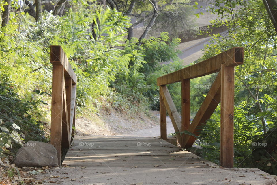 Bridge Trail