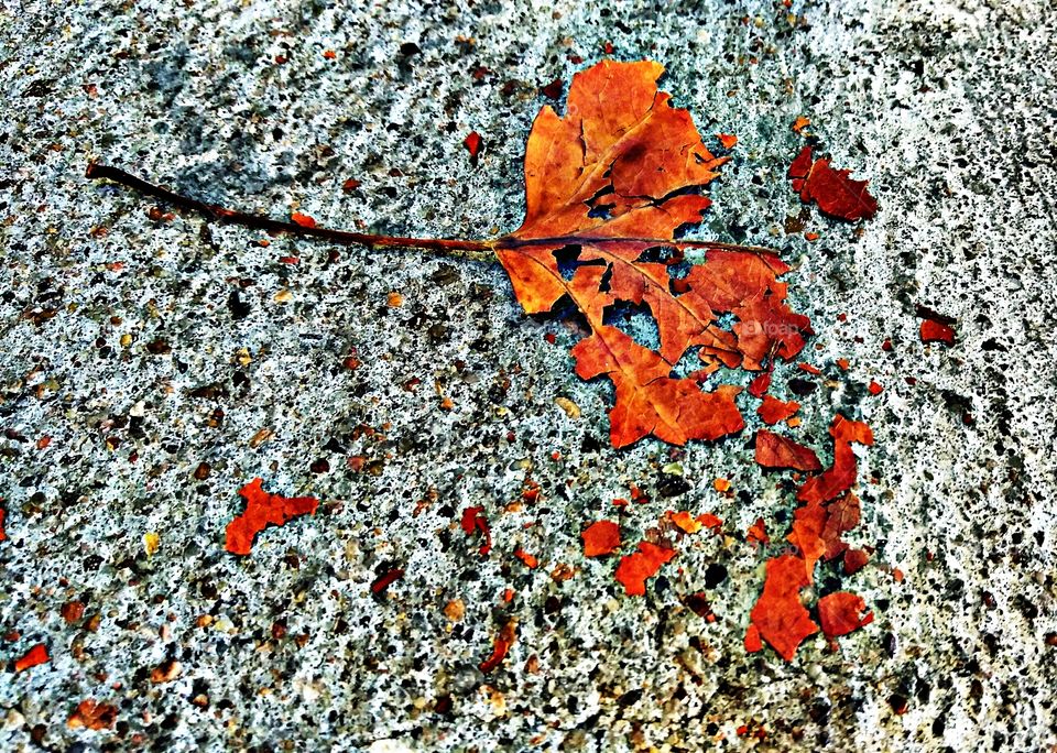 nature, shattered pieces