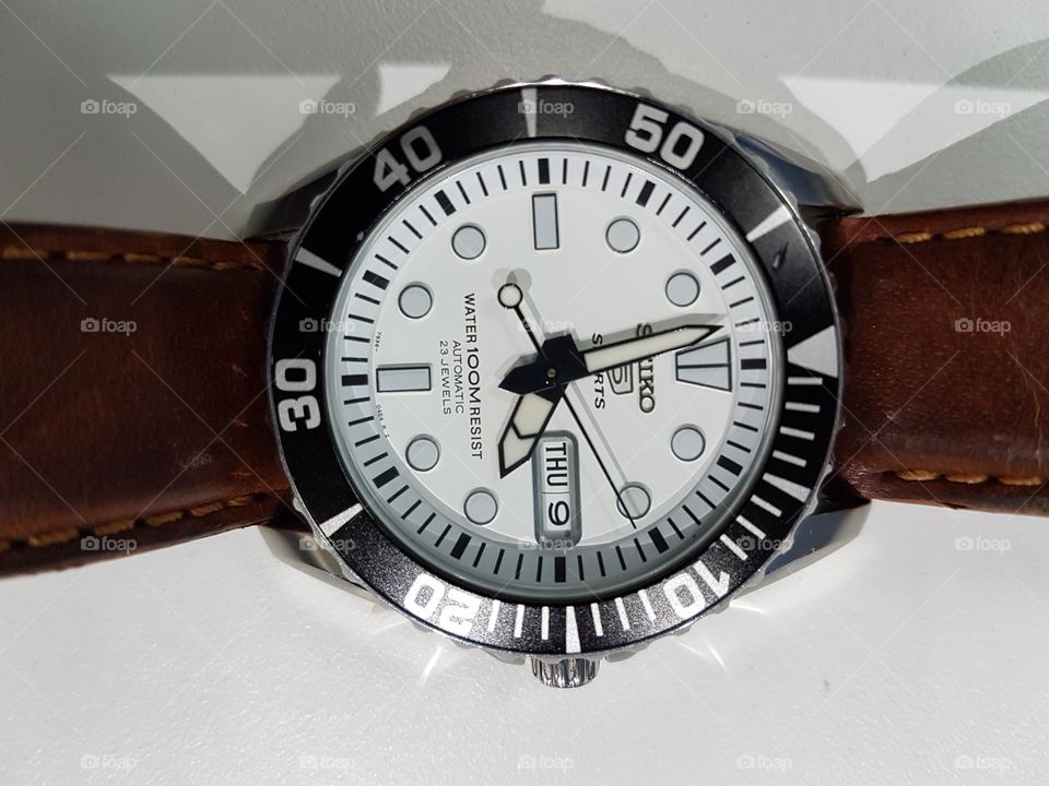 seiko urchin white dial