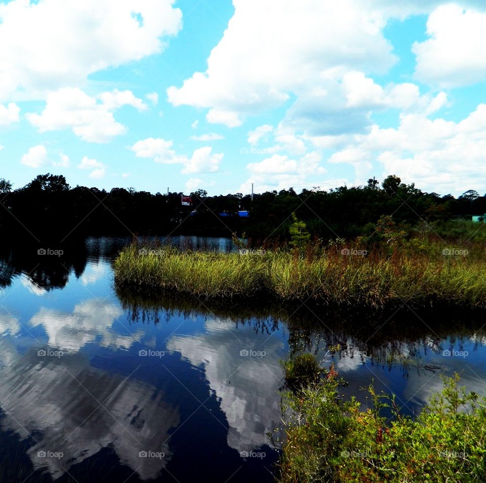 Reflection on the bayou