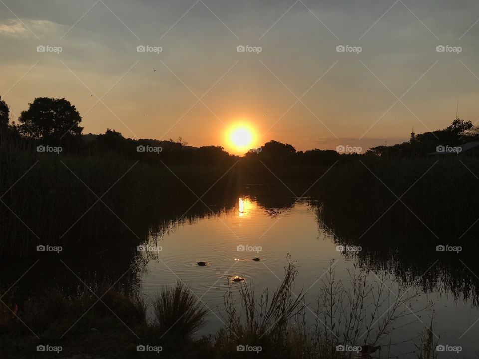 Sunset at a water 