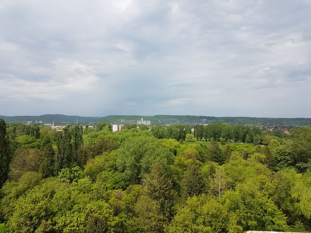 nature