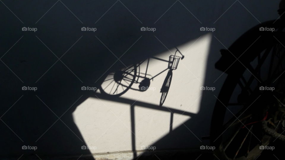 Bicycle-Perspective