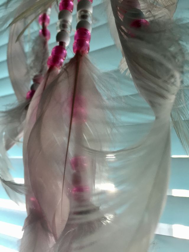 Feathers 