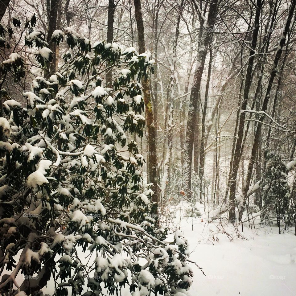 White Christmas, Newton, New Hampshire