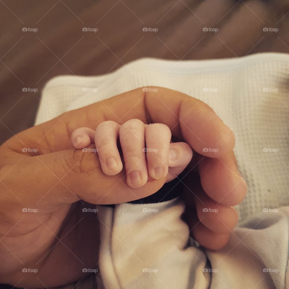 Close-up of person's hand with newborn babies hand