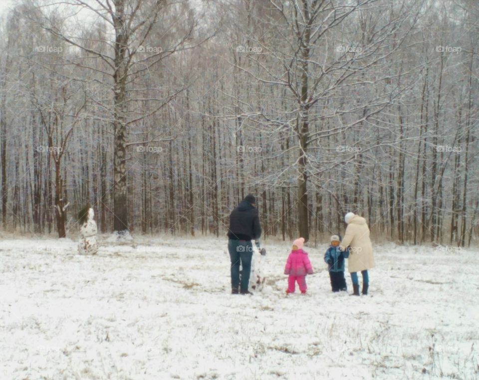 Snow, Winter, Cold, Weather, Tree