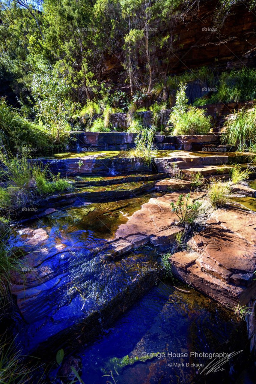 Water, River, Nature, No Person, Wood