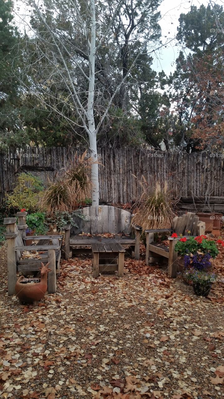 Fall yard
