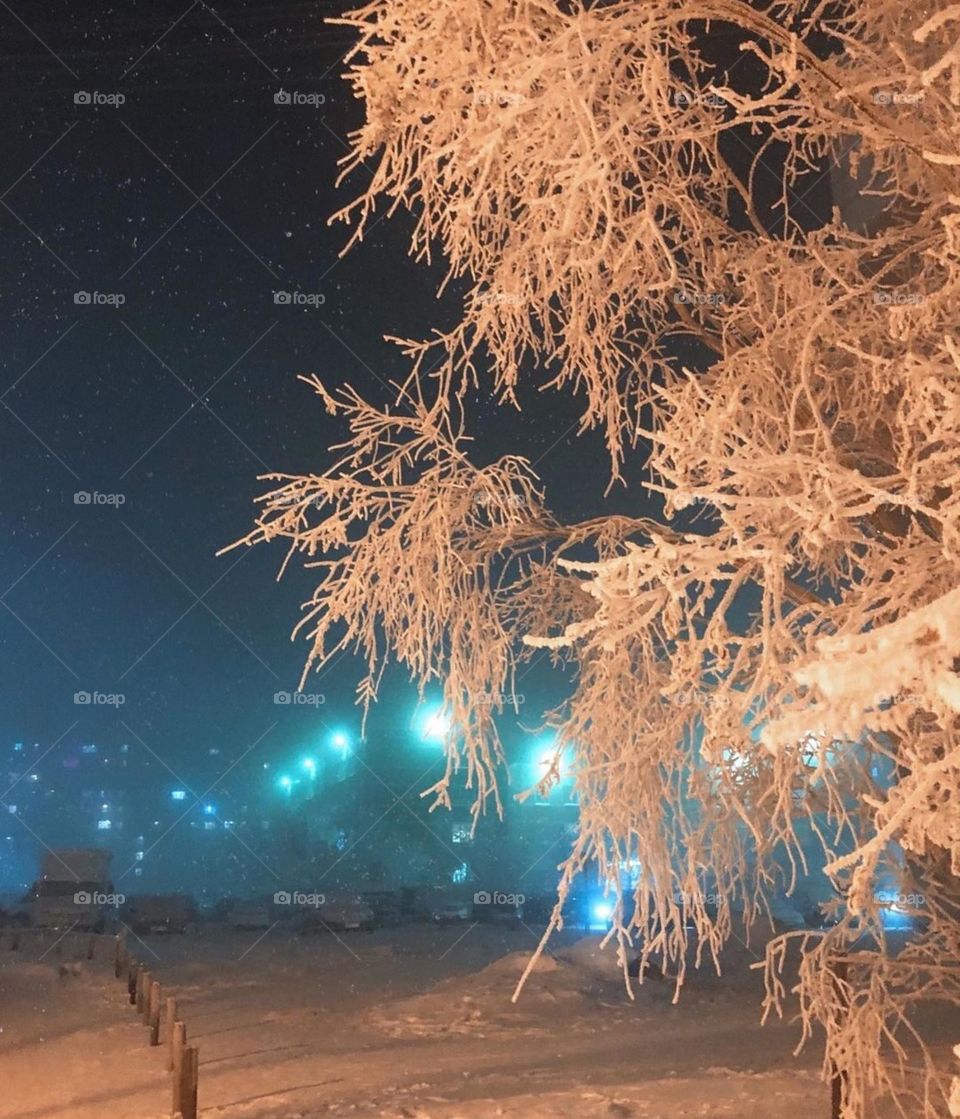 Морозная ночь