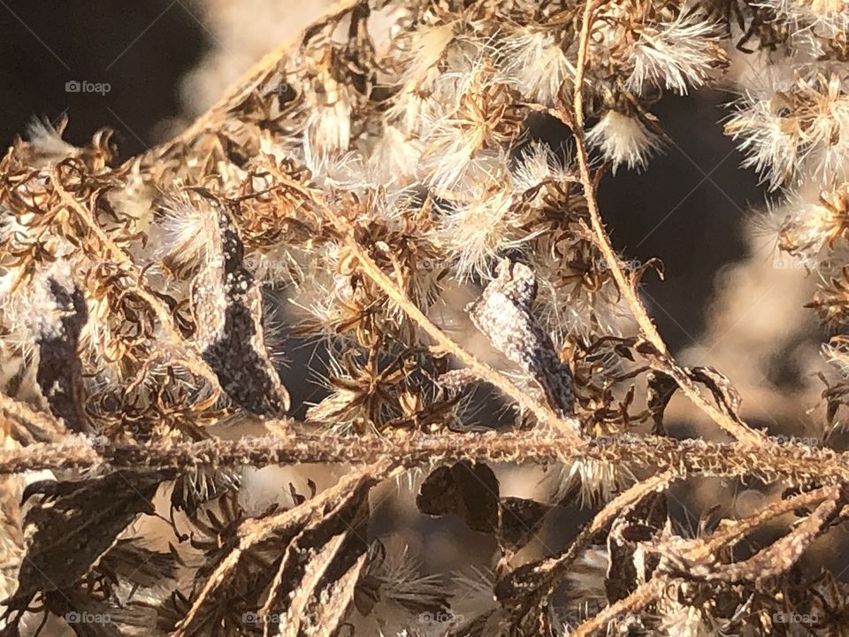 A nice fall crisp day