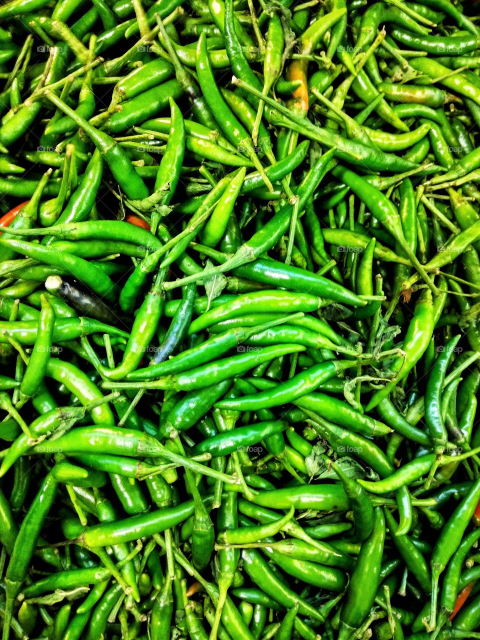 Fresh green chilies sold at the local farmers market