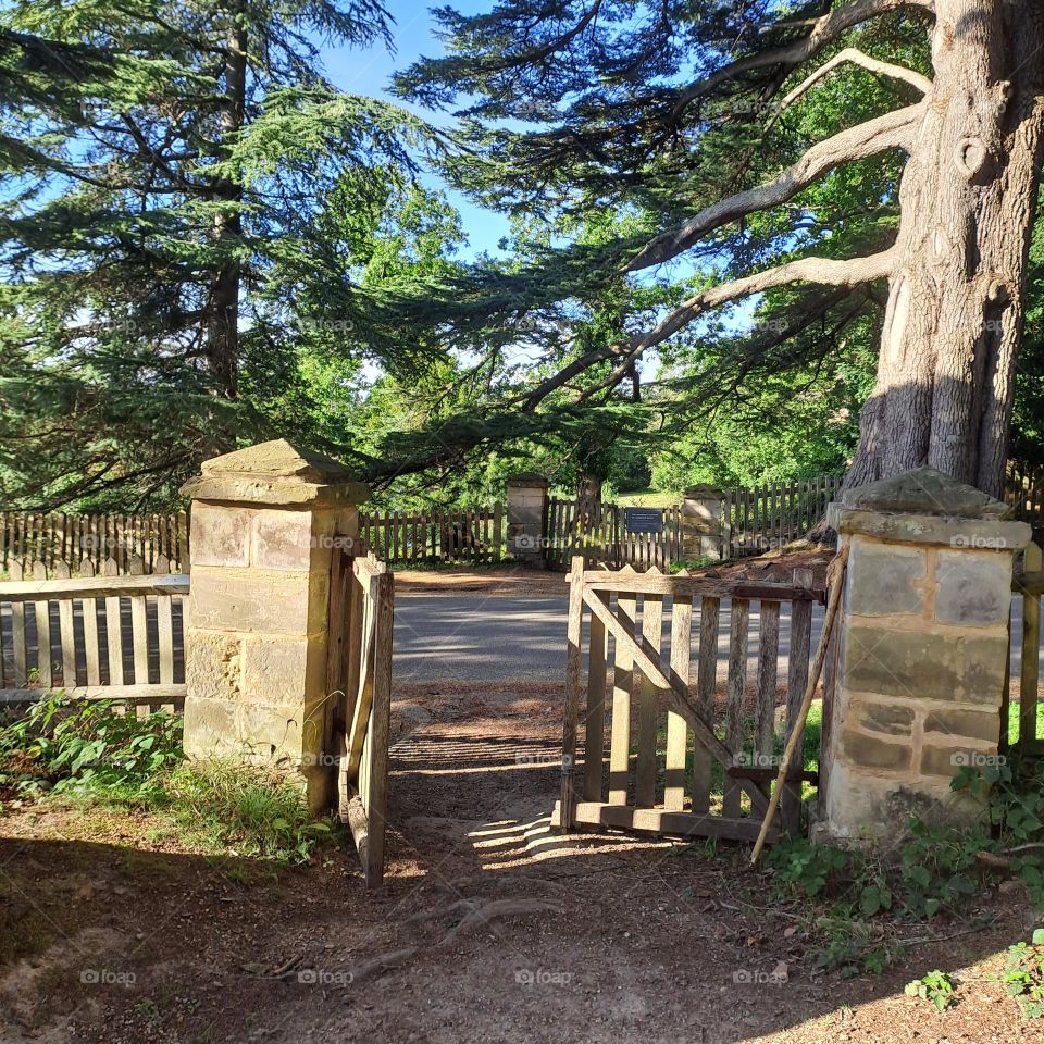 entrance or exit through wooden gate in the forest woodland trees and sahdey shadows