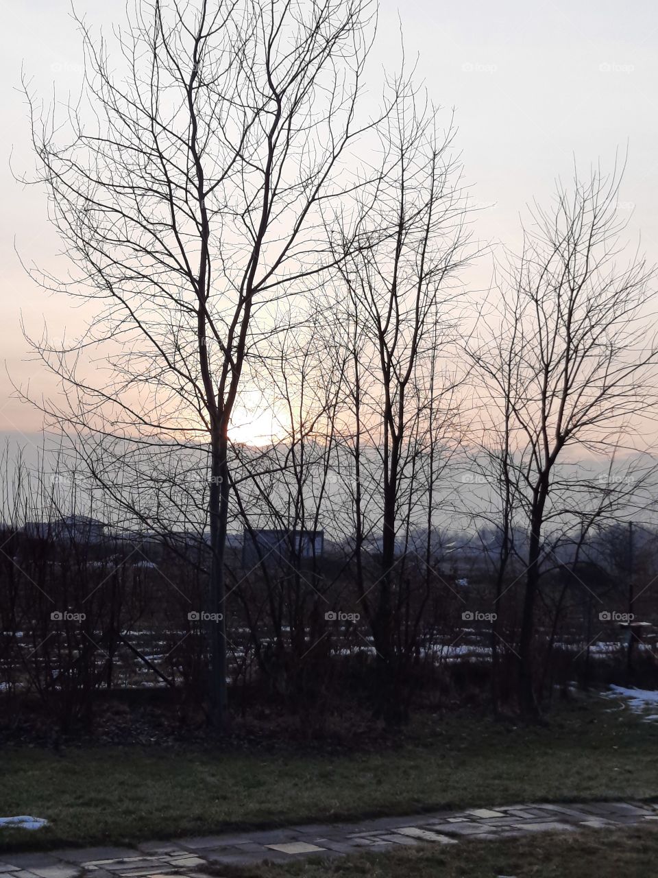 linear gray clouds at cold winter sunrise