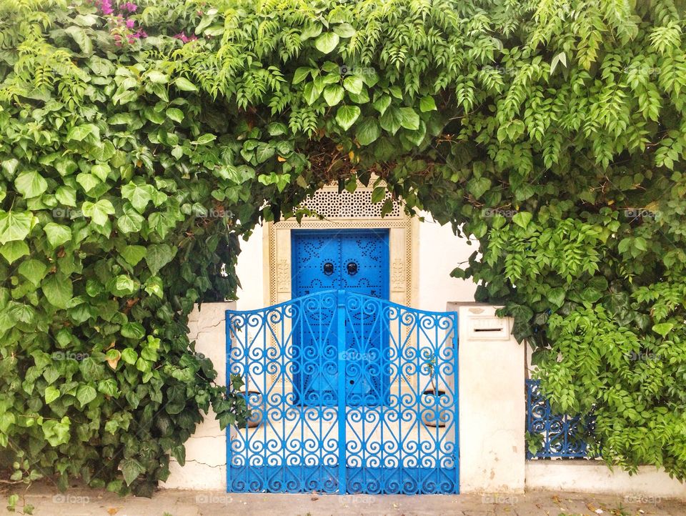 a beautiful entrance and a beautiful door in sidi bou said Tunisia