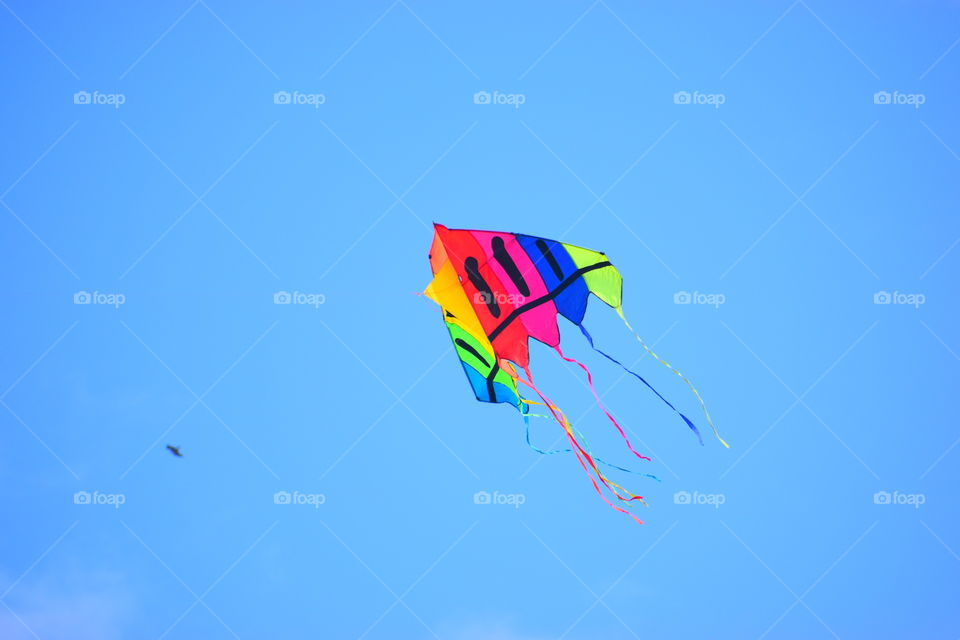 kite