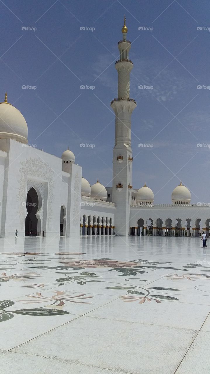 This is the over view outside