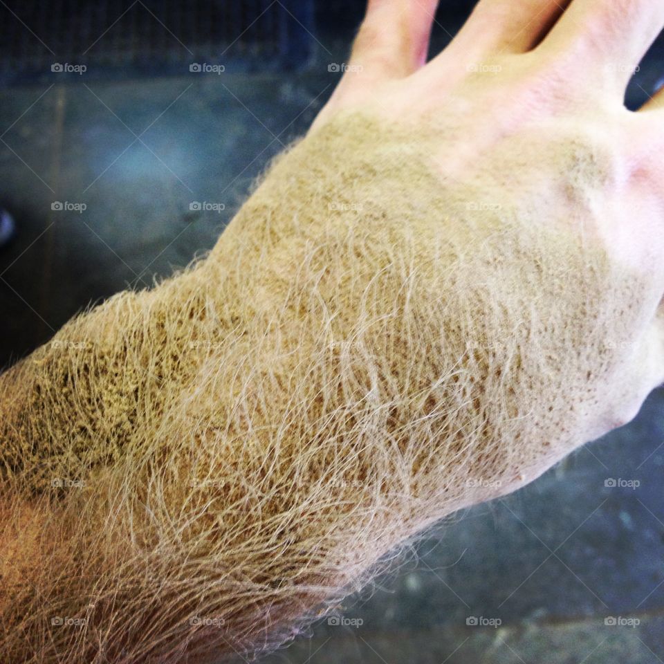 Sawdust covered hand.