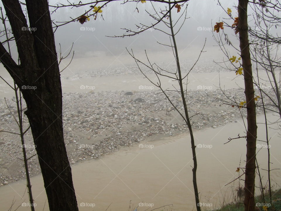 the creek after the flood